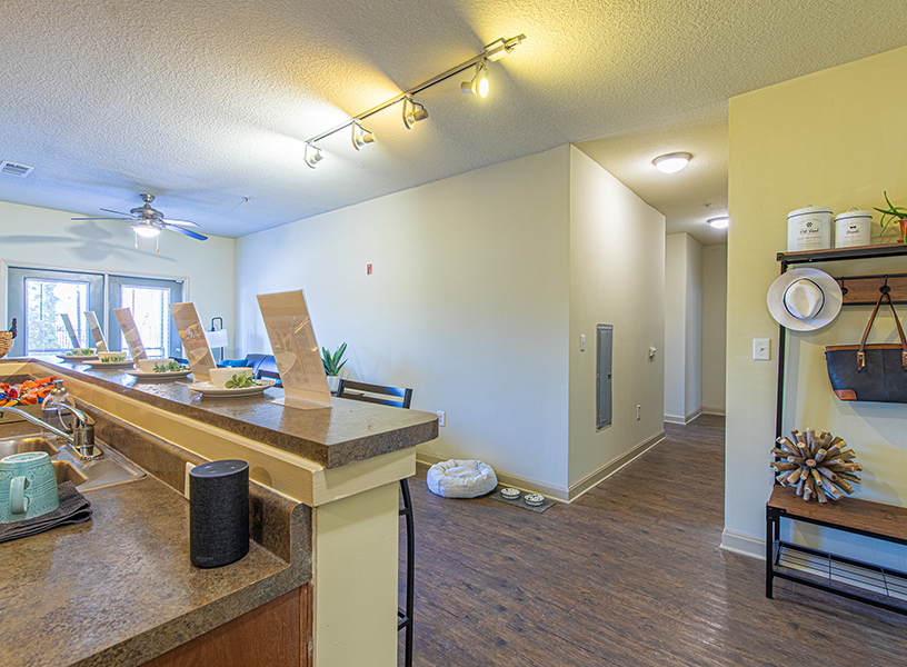 View from behind the counter, showing the entrance hallway.